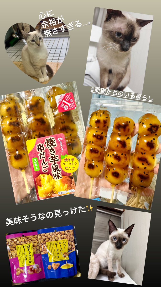 84Tvxq's tweet photo. #愛猫たちのいる暮らし
 #食欲の？？ https://t.co/Qgv3ygGmYP