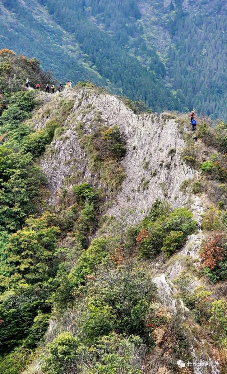 xXGoDsXxArEs's tweet photo. 登山时遇孔挖竿，攀爬麓峰实难，但沿途风林藏惊喜。， https://t.co/l8nLs4ZW1y