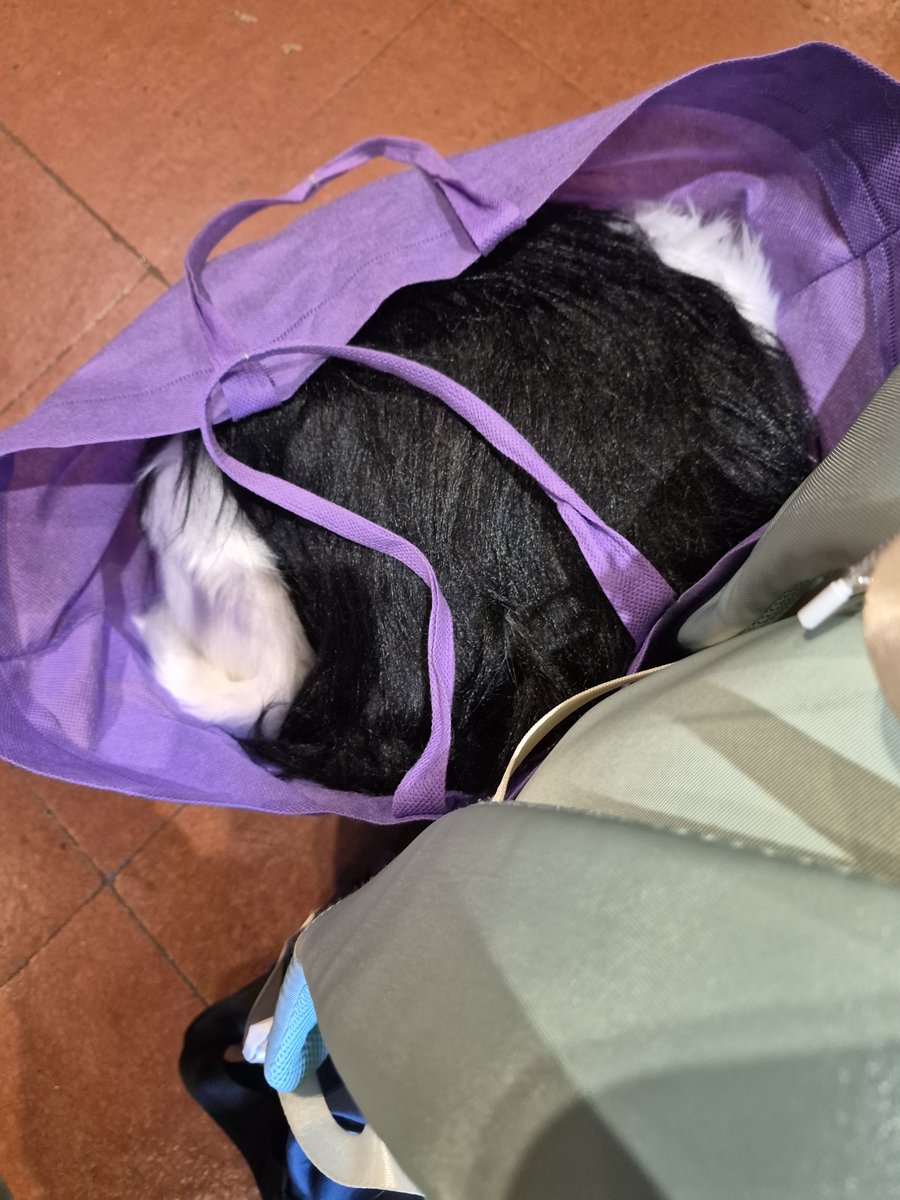 privaxitydragon's tweet photo. @_Naz0__ Perdón amigo, no lo vuelvo a hacer .......... https://t.co/taUN0lygn2