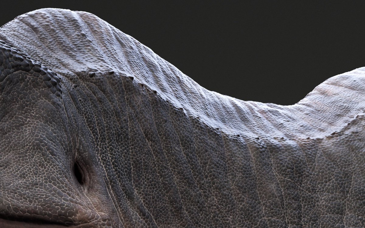 Sketchy_raptor's tweet photo. A full resolution look at some the texture work I did for my "Crooked Rex" character earlier this year. This was a big personal leap in both overall fidelity and physical material complexity for me. https://t.co/A8wMGigkcH