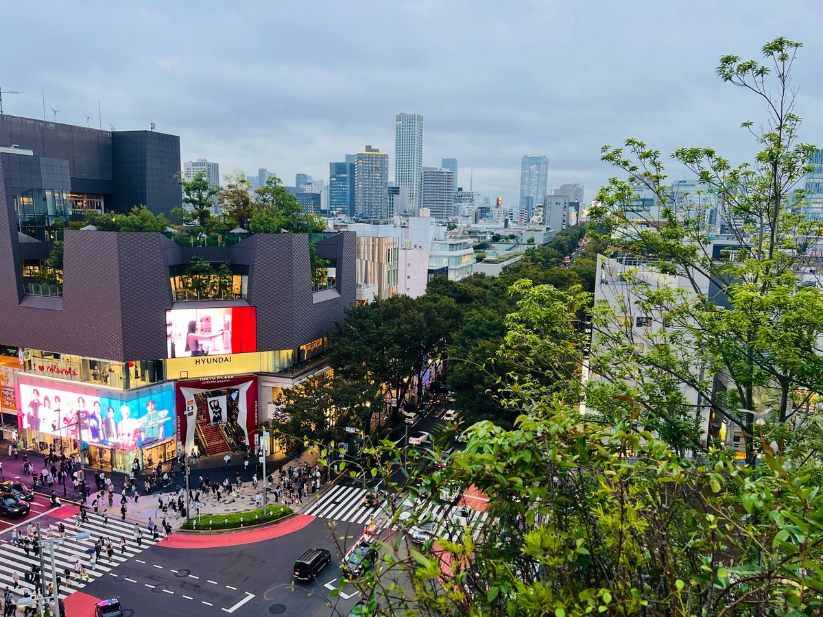kiki_no_camera's tweet photo. Crossroads 交錯路 https://t.co/Jj3HdYLq4I