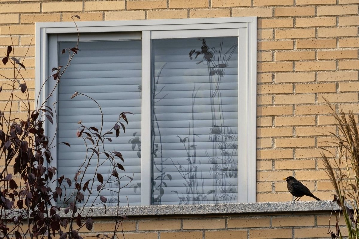 Khrpitu's tweet photo. 👁️

El tiempo que disfrutas perder no es tiempo perdido.

— Marthe Troly-Curtin

#viewfrommywindow 🐦‍⬛

A veces, la mayor productividad del día consiste simplemente en detenerse a contemplar el paisaje.

Menos prisa y más momentos de contemplación.

BT ☕ https://t.co/5sI6iovqrT