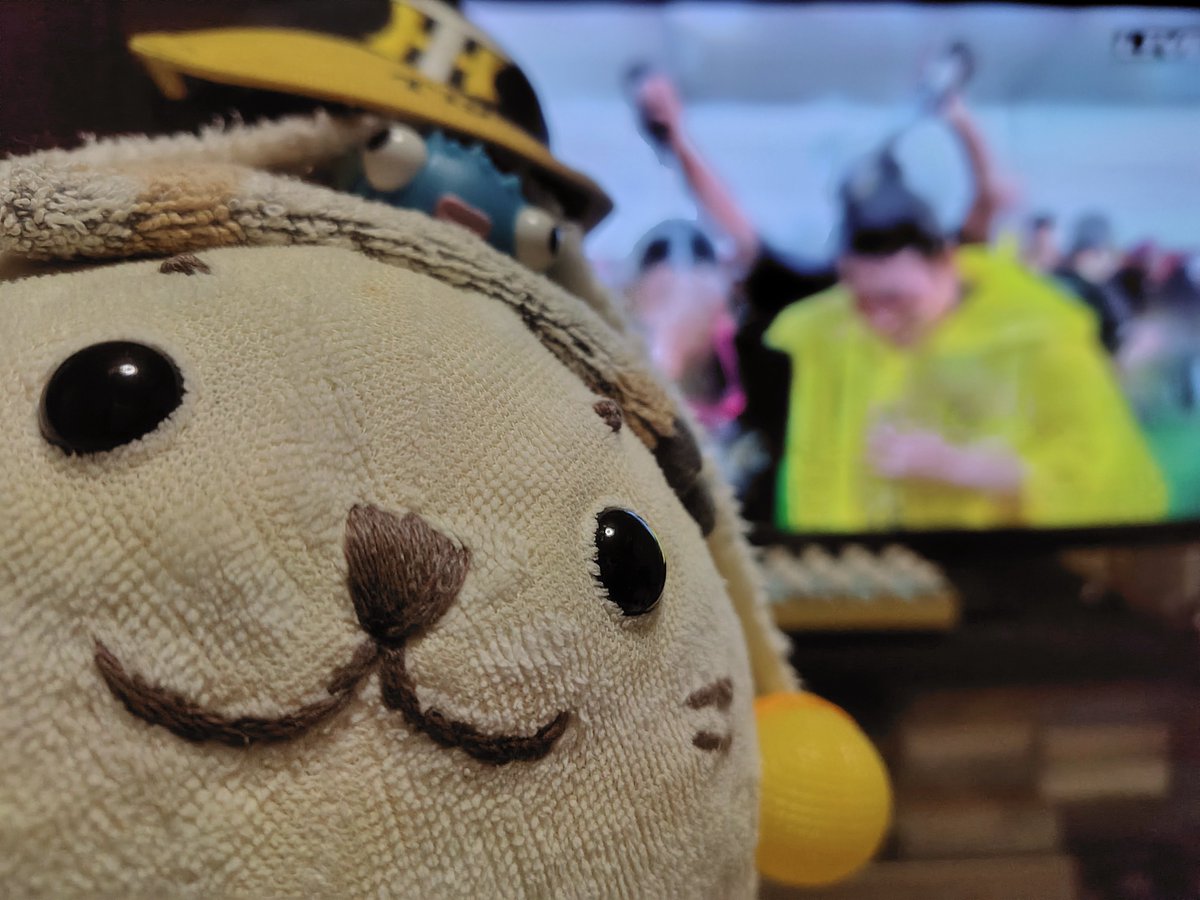 sirotanie's tweet photo. 🐯びーるかけ
ちょーたのしそううううう！
だけど
しろたにくん　あかちゃんだから
さんかできなーーーい！ https://t.co/2ZCIyKdTDa
