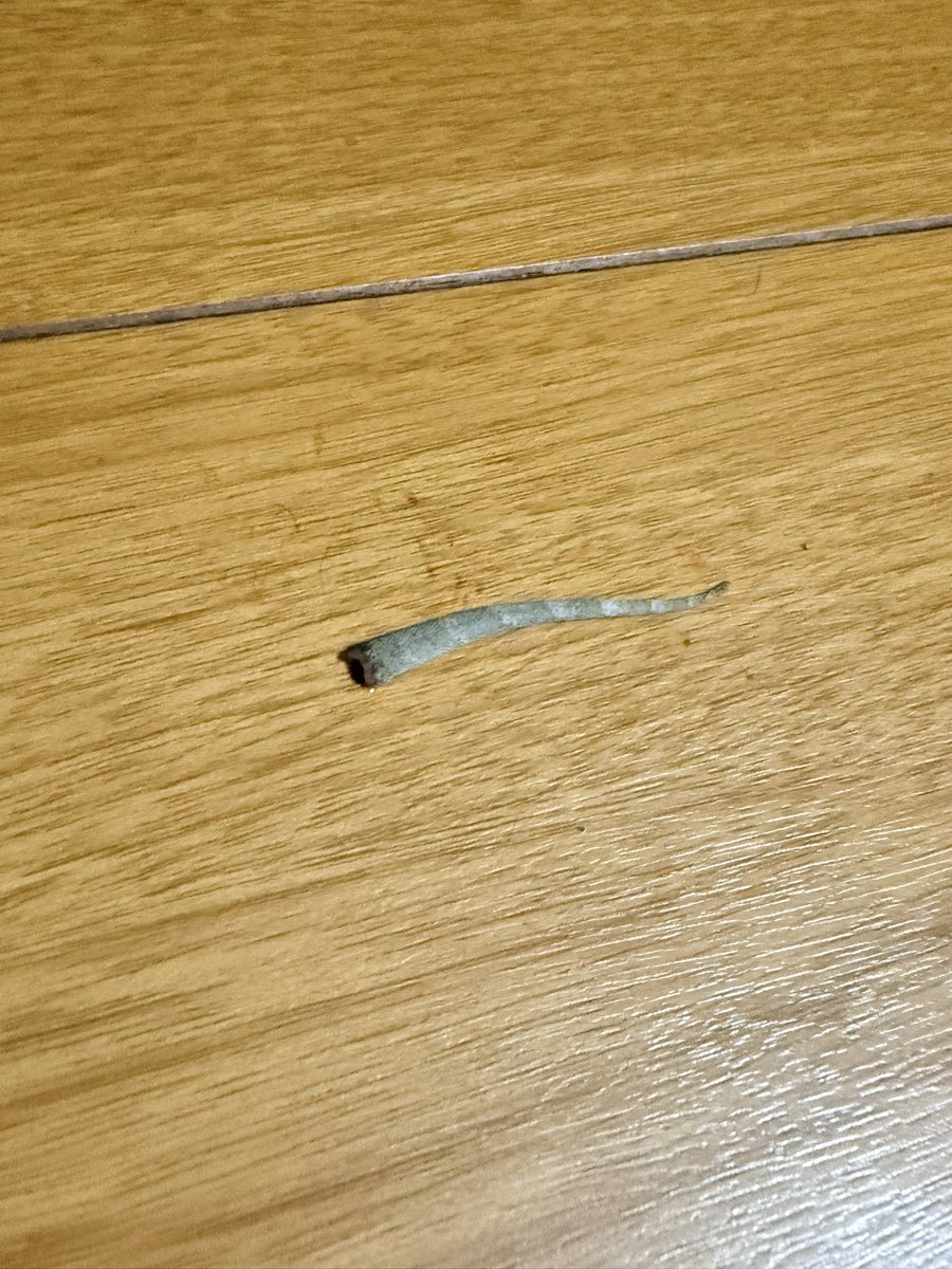 karigarasi's tweet photo. 寝ようと思ったらベット横に不穏な痕跡… https://t.co/CT1xiJggUl