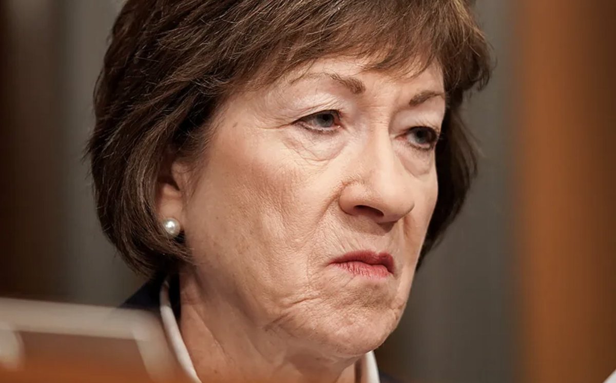 funder's tweet photo. Three of our four investigations ended at the same senator's campaign account. A pardoned fraudster. Epstein's billionaire client. ICE's jailers. Susan Collins took money tied to all three. Maine has 31 days to be concerned. https://t.co/BDNR8TcQ2j https://t.co/BhzvRE8IoK