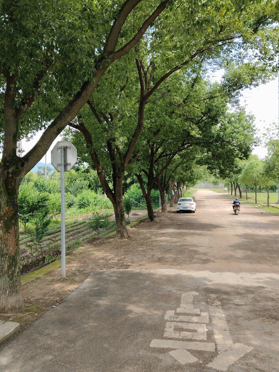 10cemilturan's tweet photo. 刚测完新地的推亩数，中途被瞪了一眼，没忍住随手掷了个小物件 https://t.co/5dlG8Hw4WC