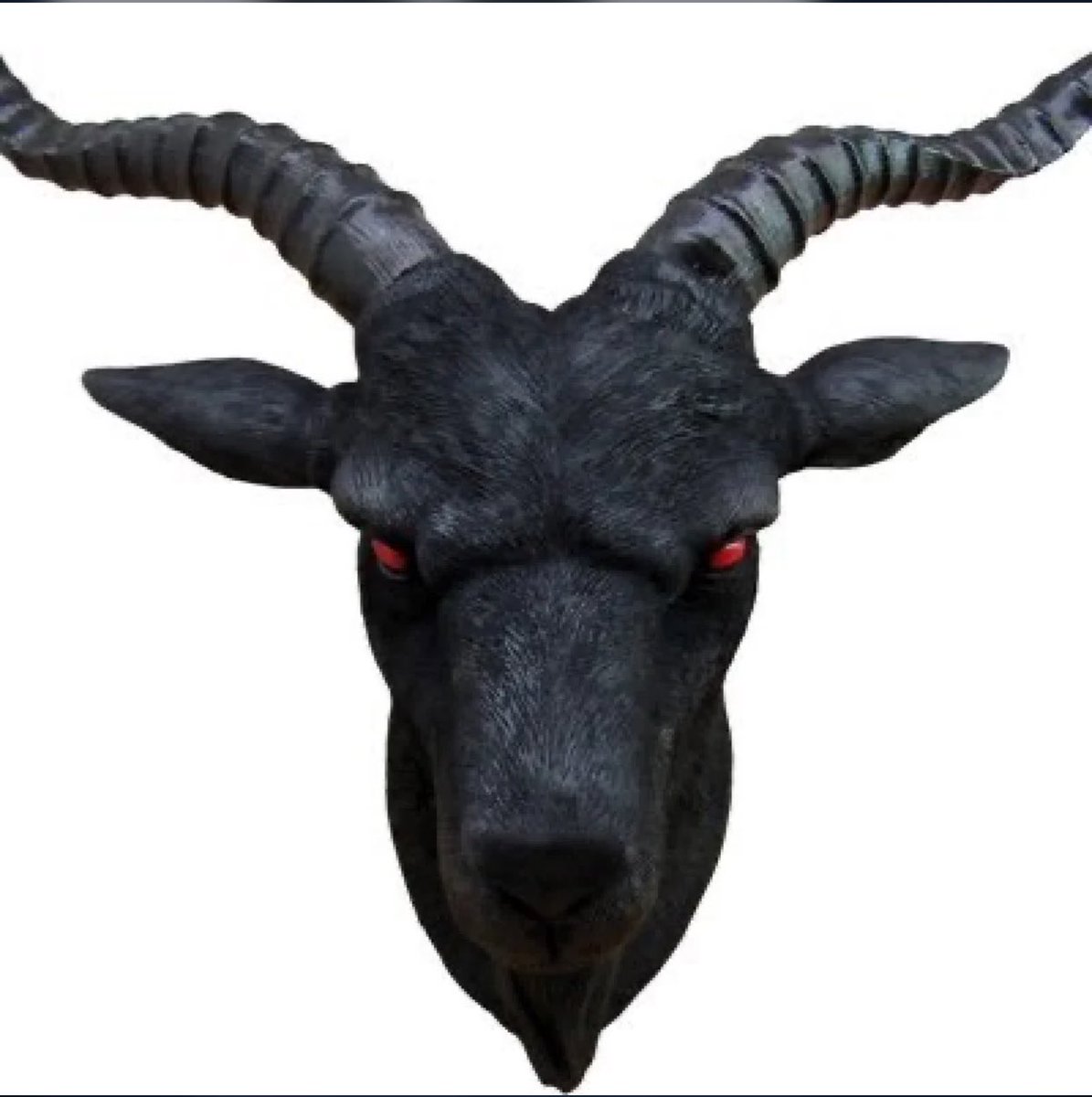 DOMINATE_BREEDr's tweet photo. @AshBurnett2 @DreamsReal6 @AshBurnett2 this Disgusting piece of #raw_sewage that looks like he drips with the aroma of #Fresh_Garbage truck juices @DreamDeal6 cannot help but to be a #Human_Fucktard, its #mother was also the familyโs #cow ๐! They ate its grandmother for mooing too loudly! #Die_Mad_Hoe๐ https://t.co/stFPQDz977
