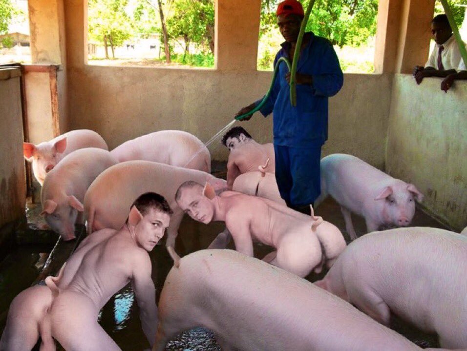 DOMINATE_BREEDr's tweet photo. @AshBurnett2 @DreamsReal6 @AshBurnett2 this Disgusting piece of #raw_sewage that looks like he drips with the aroma of #Fresh_Garbage truck juices @DreamDeal6 cannot help but to be a #Human_Fucktard, its #mother was also the familyโs #cow ๐! They ate its grandmother for mooing too loudly! #Die_Mad_Hoe๐ https://t.co/stFPQDz977