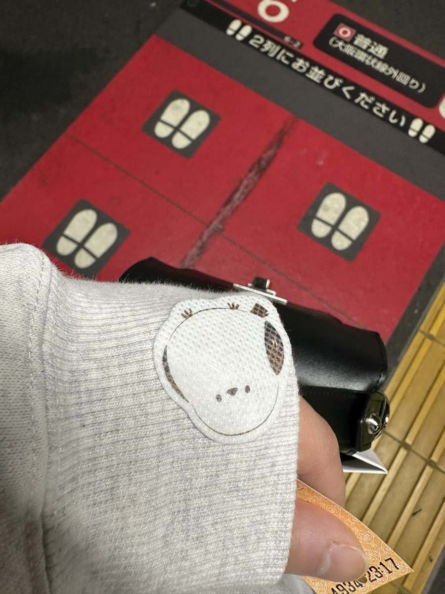 spbv_okina's tweet photo. 肉を焼くのも、楽しそうなところを見るのもとても好きな時間でした
あくまの虫除けシマエナガシールがおみやげ https://t.co/s7bRIjixLv