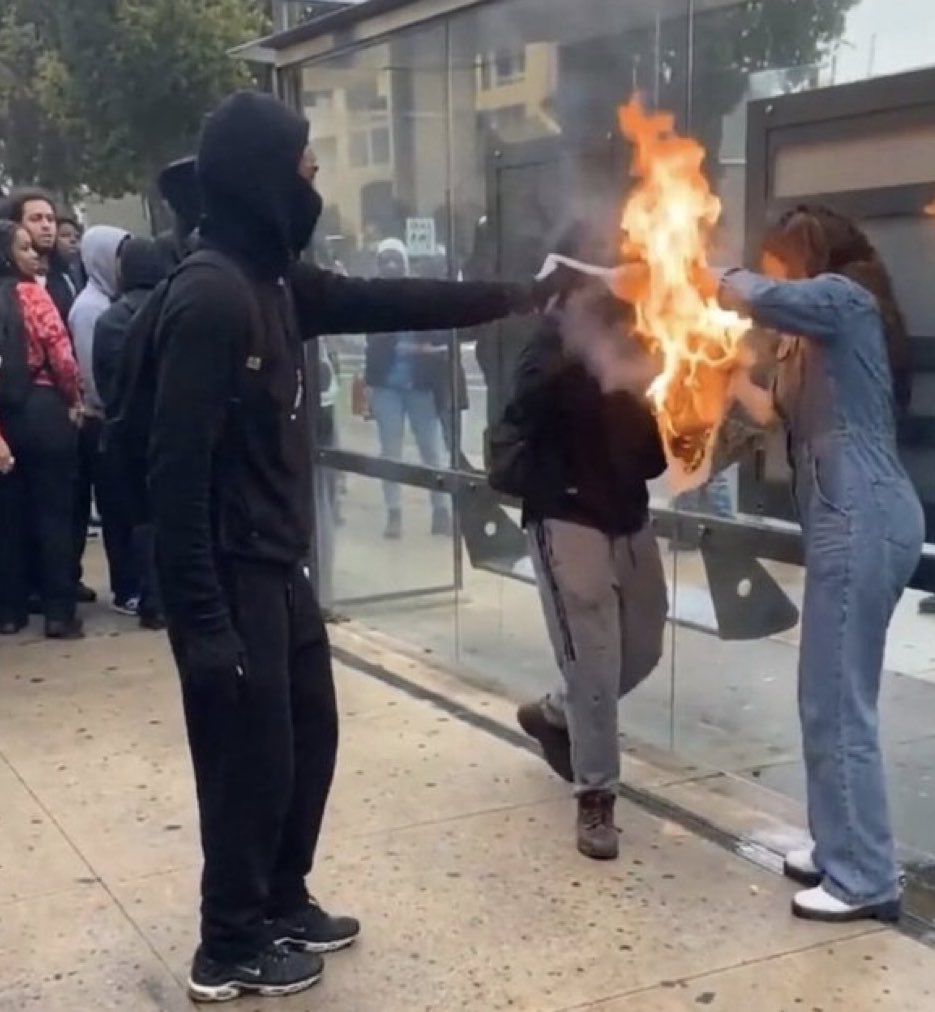 HJB_News__'s tweet photo. You have to be completely deranged to deliberately set fire to a woman’s face right in the middle of the street.

This is what second and third generation migrants think of Europeans. Politicians call this diversity. https://t.co/jR0o9tkGml