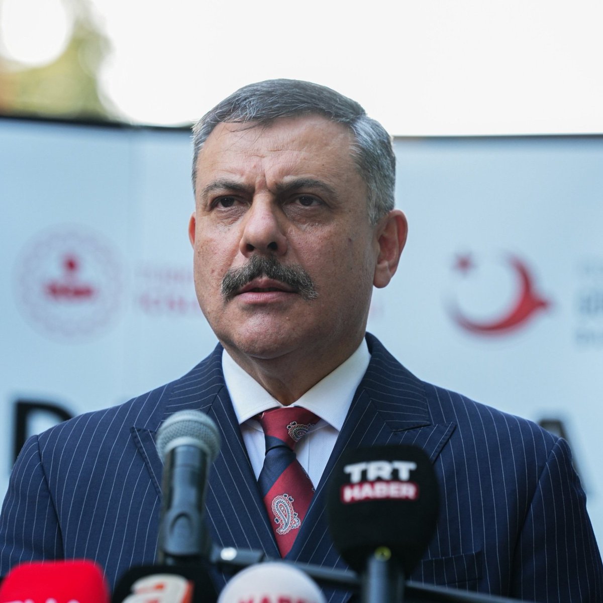 bosunatiklama's tweet photo. İçişleri Bakanı Mustafa Çiftçi:

▬ Hayvanseverler gelsinler, barınaklardaki hayvanlardan birer ikişer tane sahiplensinler. Baksınlar evlerinde.

▬ Dışarıdan gazel okumak kolay.

▬ Hayvanseverler bunu eleştirecek diye görevimizi yapmaktan geri kalamayız. https://t.co/McHKovMMzx