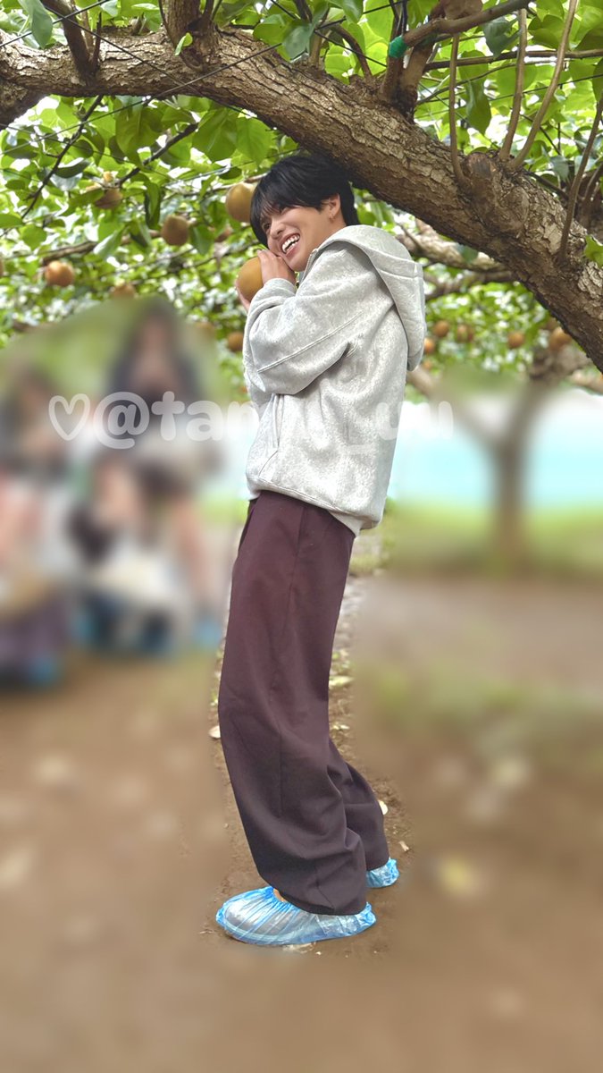 tamu_uu's tweet photo. 梨狩り！
めっちゃかわゆいお写真❣️
ファンに真摯に向き合ってくれるサイコーの推しです♡
#しょごバス https://t.co/EDgGXC5HQj