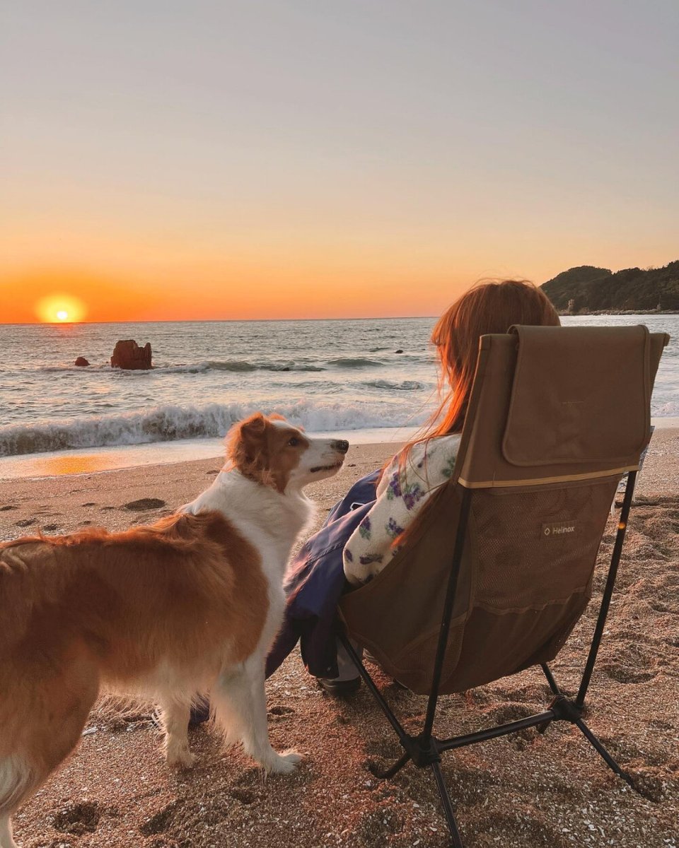 auraclearyzqe's tweet photo. Mi perro me espera cada tarde con una cola que no para de moverse — es él, mi compaero que hace que los días grises sean cálidos. https://t.co/yvO22LugSn