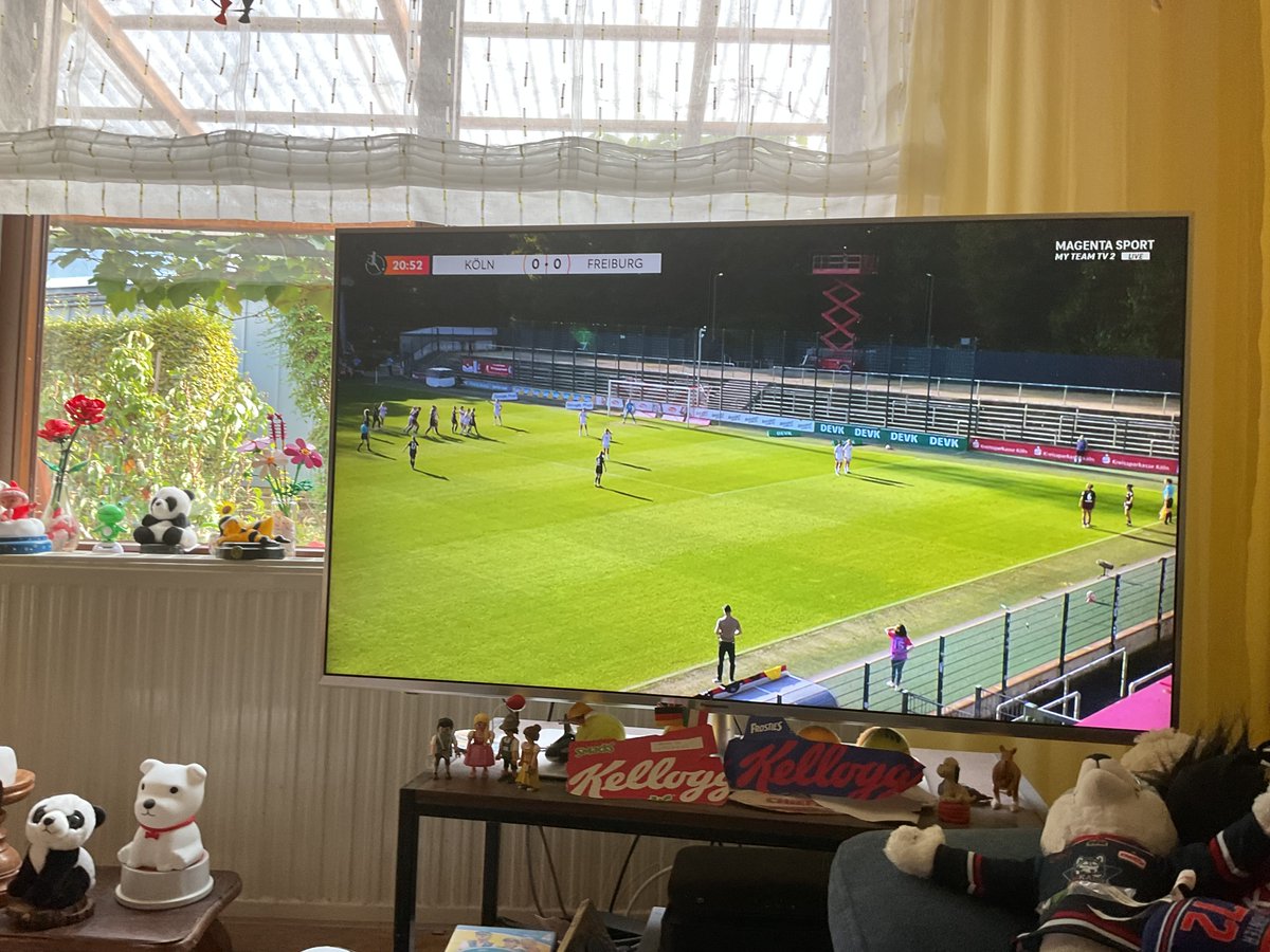 ABCHAMP11's tweet photo. Sag scf #koescf #gpfbl @rheinmainbaskets @kbsharkswuerzburg @uscjena @uscheidelberg ddbl magentasport https://t.co/87akDALmwq