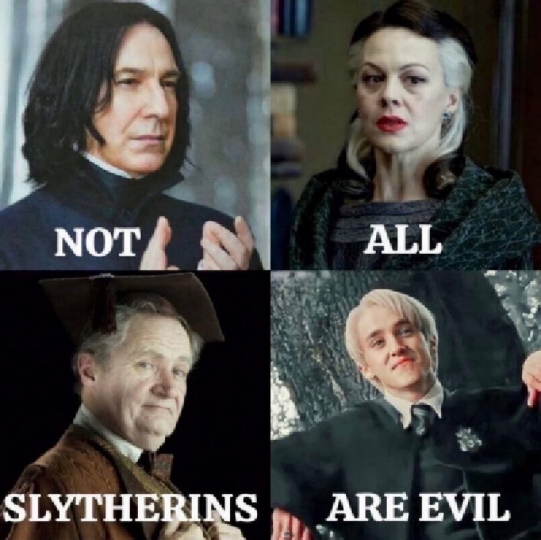 TheDailyHPotter's tweet photo. Not all Slytherins are evil 💚 https://t.co/PDWvnbsmuM