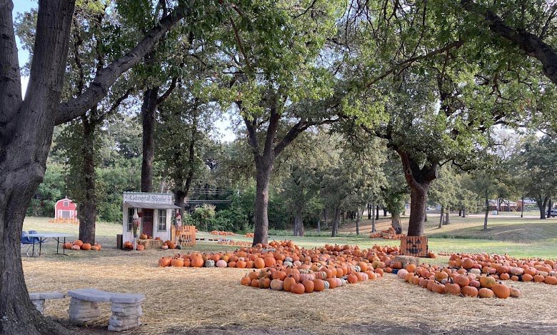 tx_hector967's tweet photo. Pumpkin Patch at Christian Church Arlington Texas https://t.co/yhx9ji1c6g