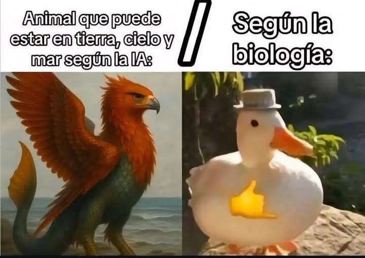 StereoBeam's tweet photo. #StereoBeam #LaDirecciónExacta #15añosalaire https://t.co/xiU6xluvL3 #CalidadHD https://t.co/6Uq26JRhw6