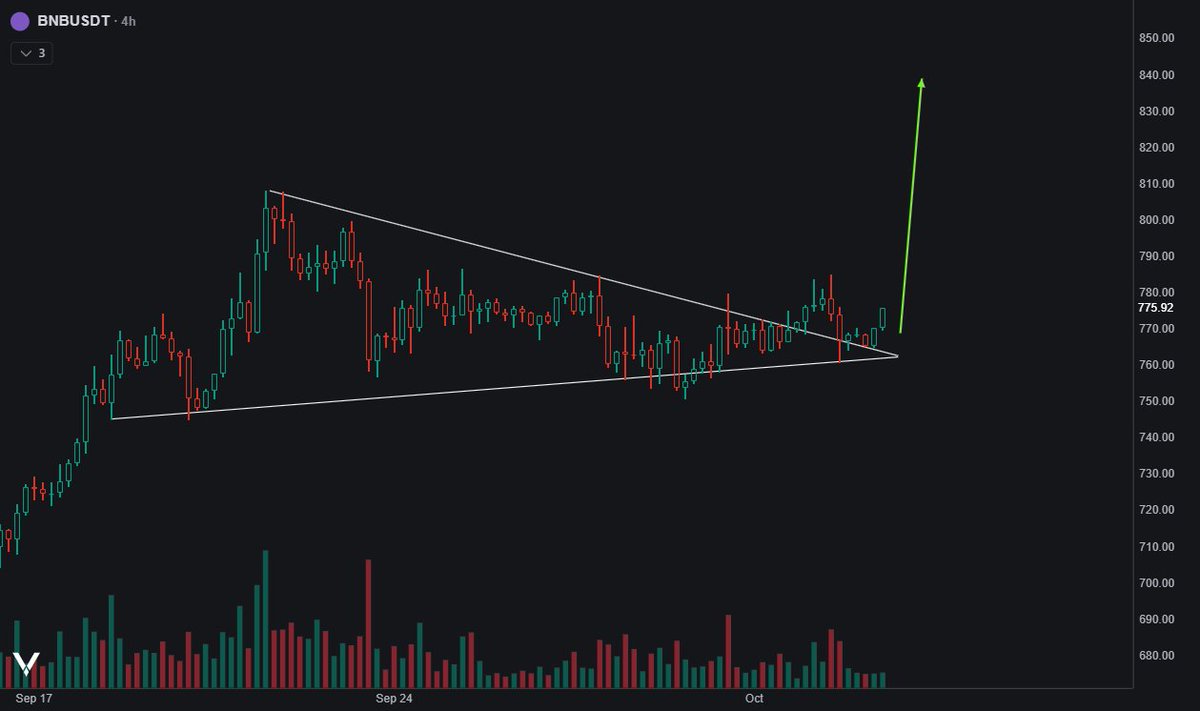 Laznus's tweet photo. $BNB https://t.co/Sr0s1fqZGh