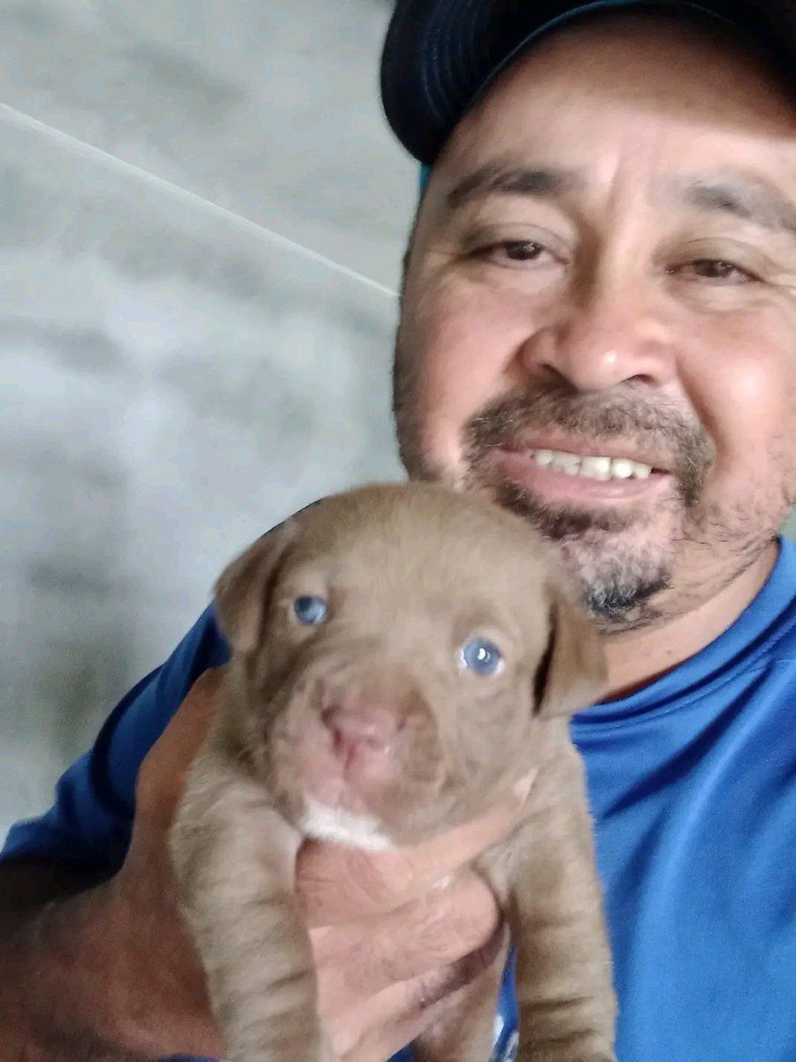 JorgeJaime_1's tweet photo. Estamos pasando una situación complicada pero luchando día a día por salir adelante hoy de corazón solo vengo a pedirles que no me dejen solo por que sin los perritos yo no podría salir adelante solo apoyanos  con lo que gustes ayer pude comprar 3 pastillas para las garrapatas https://t.co/bLyxvP0cx4
