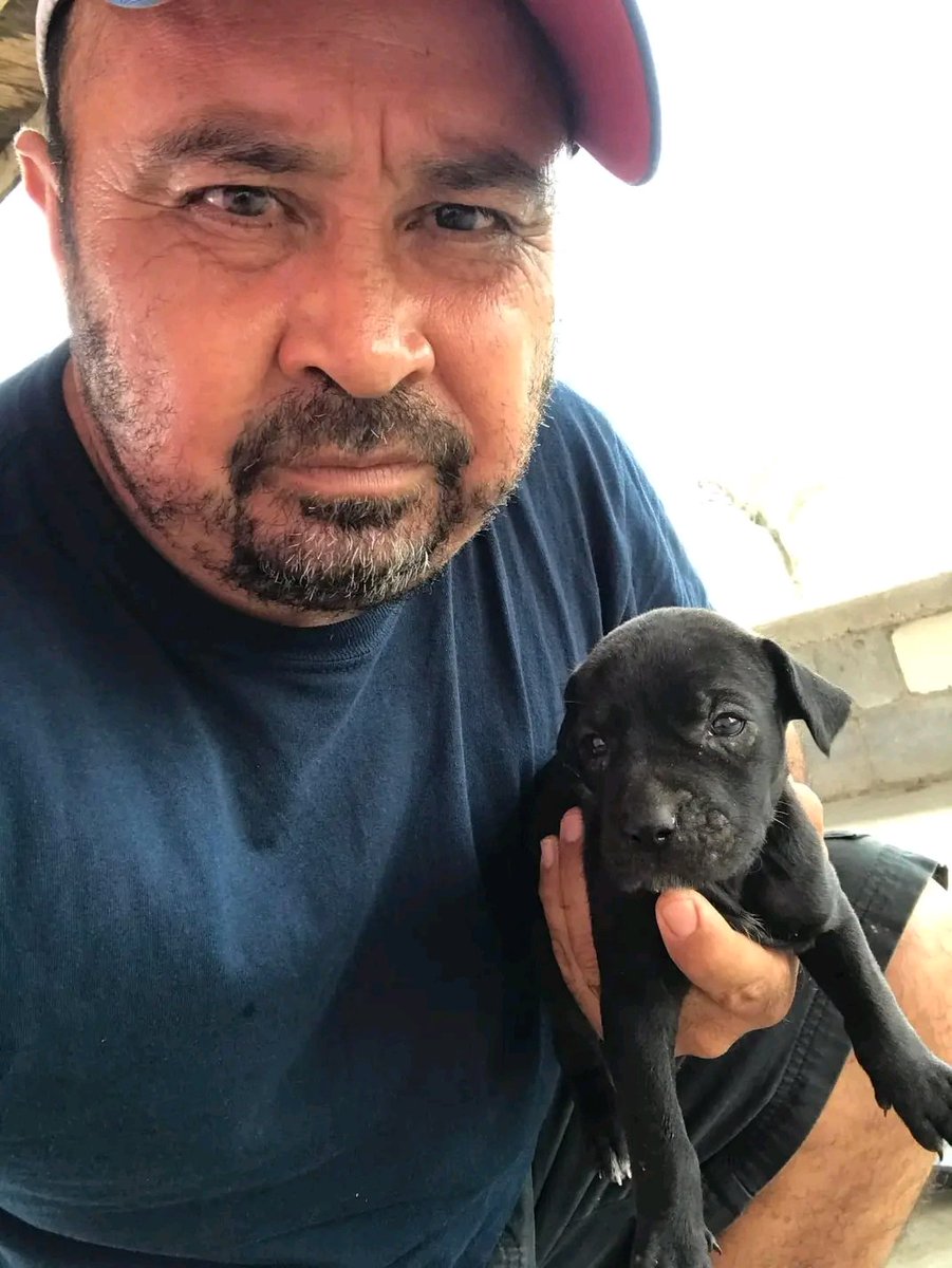 JorgeJaime_1's tweet photo. Estamos pasando una situación complicada pero luchando día a día por salir adelante hoy de corazón solo vengo a pedirles que no me dejen solo por que sin los perritos yo no podría salir adelante solo apoyanos  con lo que gustes ayer pude comprar 3 pastillas para las garrapatas https://t.co/bLyxvP0cx4