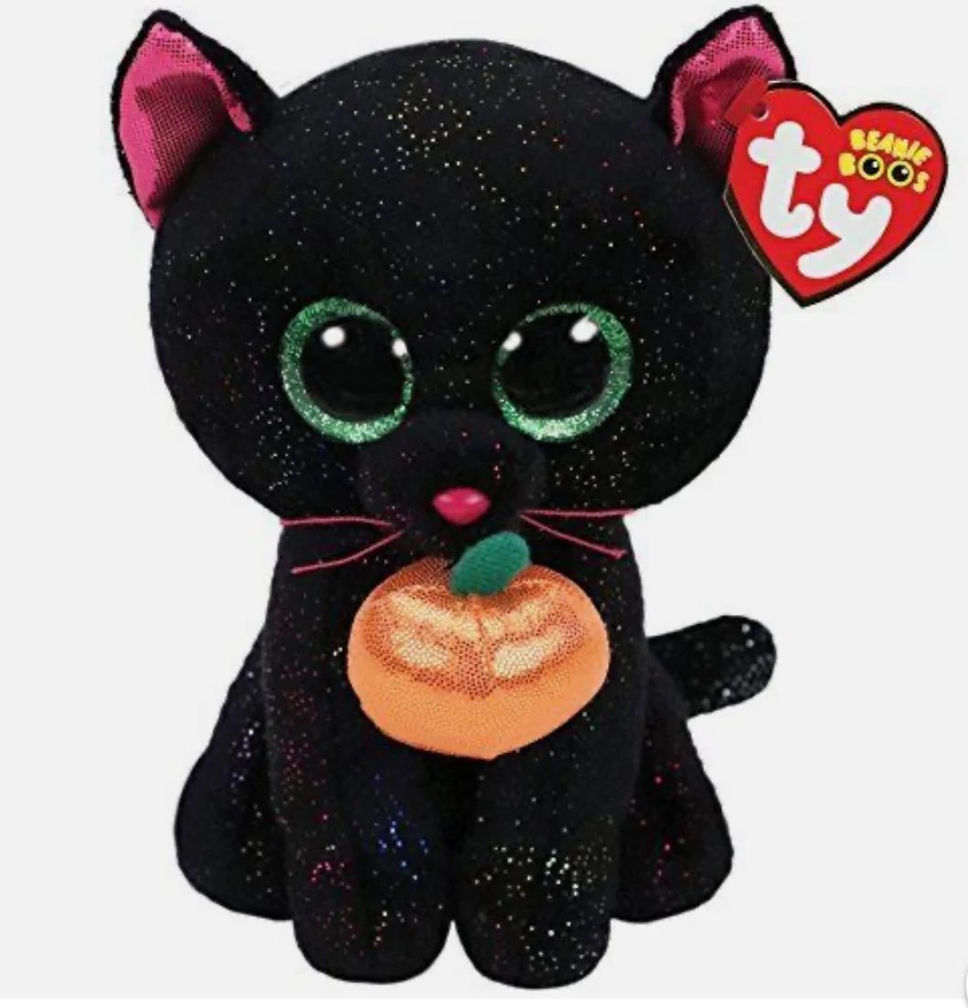 beanieoftheday's tweet photo. todays beanie boo of the day is potion the cat! https://t.co/vkvFhErl9G