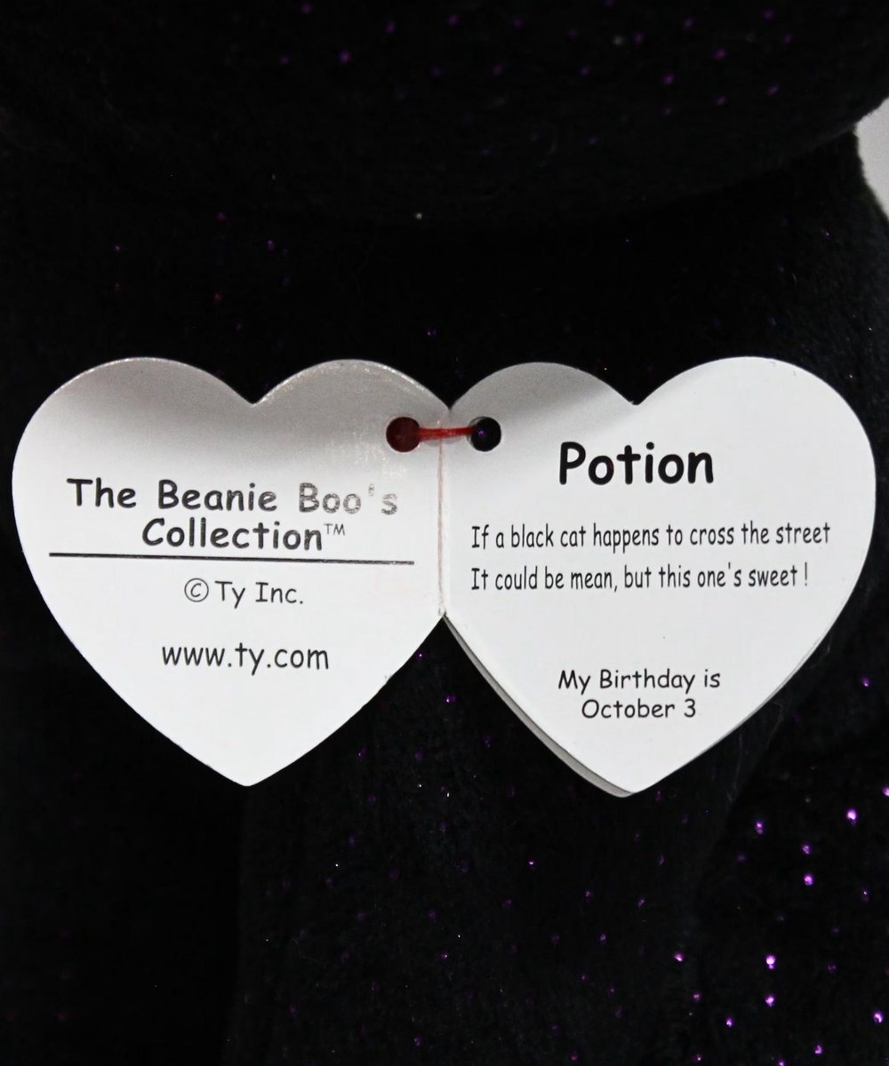 beanieoftheday's tweet photo. todays beanie boo of the day is potion the cat! https://t.co/vkvFhErl9G