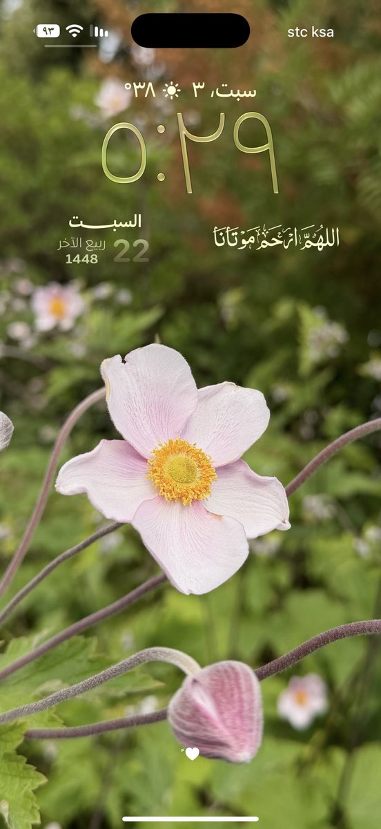 MazajNaem's tweet photo. حابه خلفية جوالي 😩🤩< لأنها من تصويري 😮‍💨

#السعودية_قطر https://t.co/cYCEjsWt2E