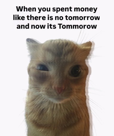 gakstercat tweet picture