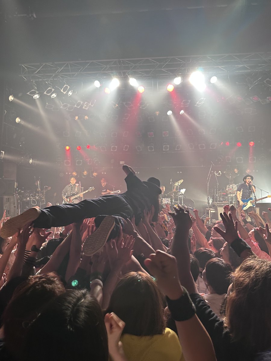 LA_PPISCH_STAFF's tweet photo. Lä-ppisch Tour 2026
　COUNTDOWN

2026年10月2日（金）
名古屋 ElectricLadyLand
OPEN17:30 / START18:30

#SOLDOUT
#レピッシュ2026 https://t.co/lL0OKpyTlQ