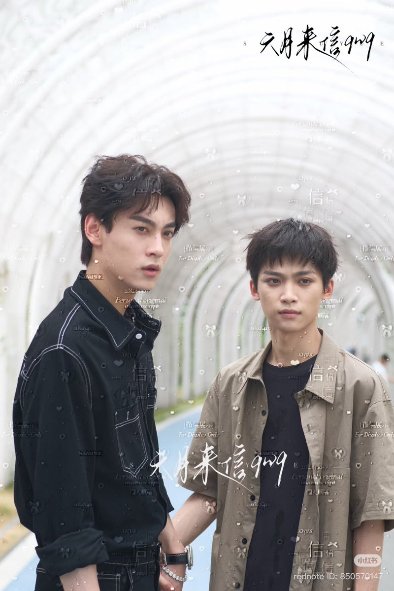 belri72's tweet photo. 🥰 https://t.co/QppHRSYIqI