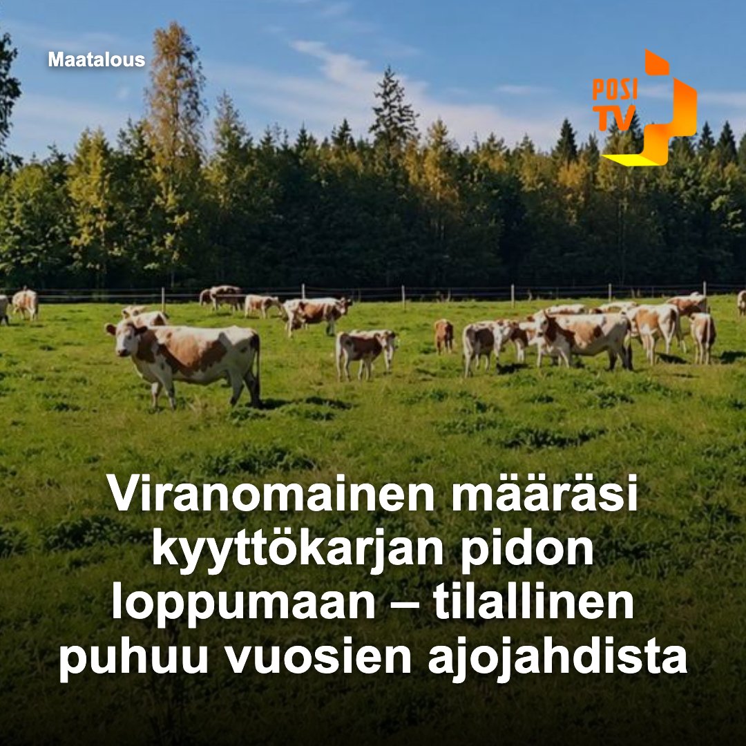 Samuel_Gryning's tweet photo. Laukaan ympäristövalvonta on päättänyt, ettei Henri Kytömaan tilalla voida jatkaa nautakarjan pitoa.  

https://t.co/oJsVrjdhwQ