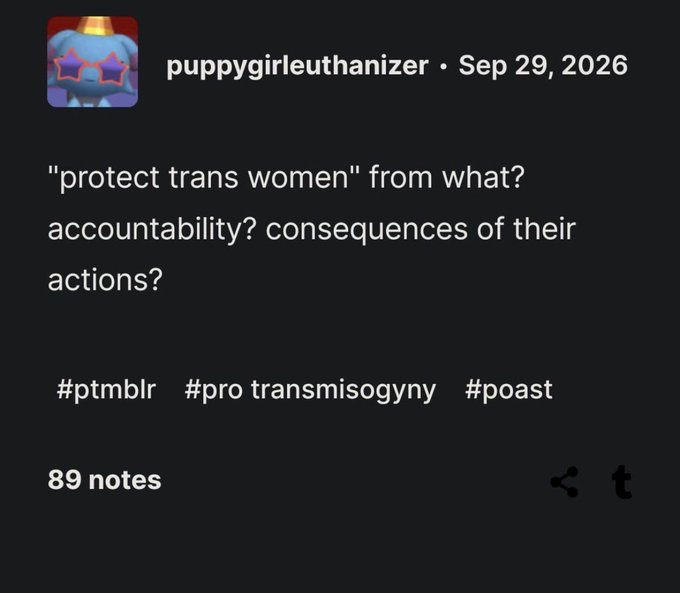 A Tumblr post from user "puppygirieuthanizer" dated Sep 29, 2026 reads: "'protect trans women' from what? accountability? consequences of their actions?" with hashtags #ptmblr, #pro transmisogyny, and #poast, and 89 notes. The accompanying caption contextualizes the post as dismissive mockery that deflects accountability concerns by sarcastically reframing them as complaints about trans women's anatomy.