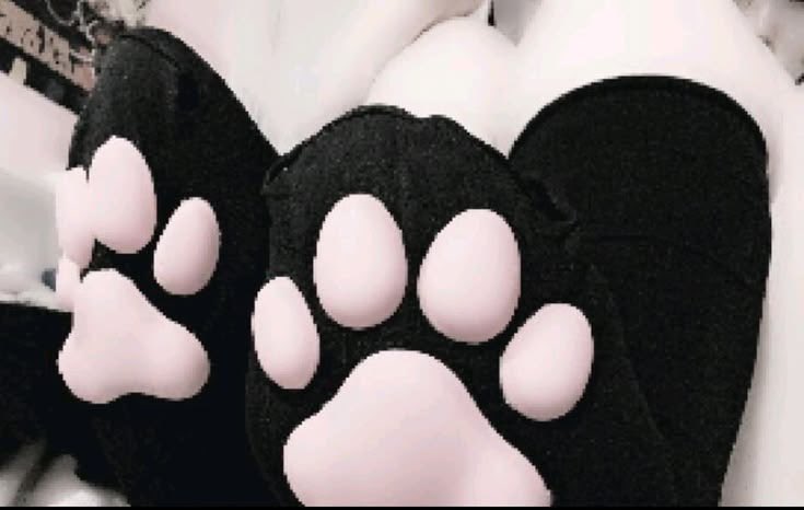 cutekittymei's tweet photo. ౿ ݁  .   Mei Mei!!! :3
mdni! I’m 18!!    ︵   ｡ Ꮺ ˚
੭﹕catgirl / kitty  +   dm’s open!!

kitty wants threats!!! >w<

#cnc #freeuse #catgirl #kitty #rapekink #breeding #petplay https://t.co/0Yamj6yT4r
