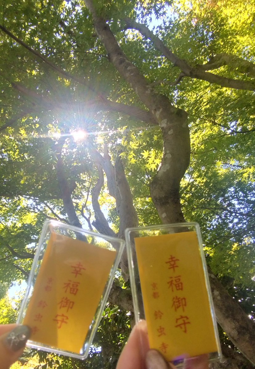 12Fuyu16's tweet photo. 京都2日目暑かった☀
嵐山〜鈴虫寺〜トロッコ https://t.co/H8EQ6DoUWt