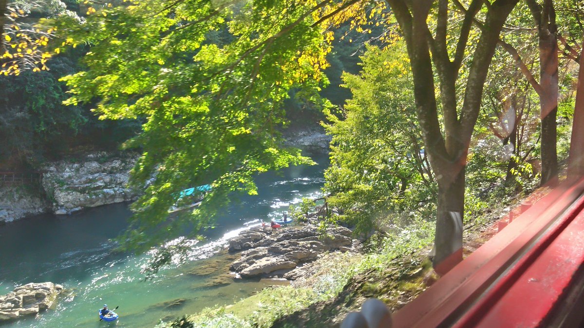12Fuyu16's tweet photo. 京都2日目暑かった☀
嵐山〜鈴虫寺〜トロッコ https://t.co/H8EQ6DoUWt