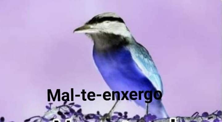 breezzebin's tweet photo. a dois dias da entrega do trabalho descobri porq o professor deu 4 meses pra fazer https://t.co/zg1xqkbeir