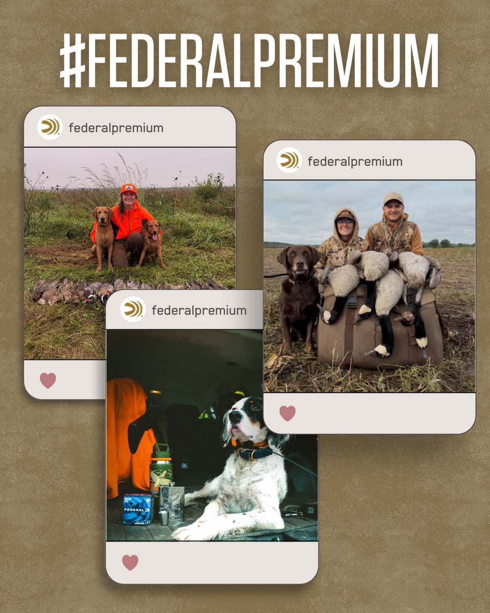 FederalPremium's tweet photo. A good dog changes everything. From the early morning blind to the long walks back to the truck, we love seeing your four-legged partners in action! 

#ItsFederalSeason https://t.co/GZCOrBKmfk
