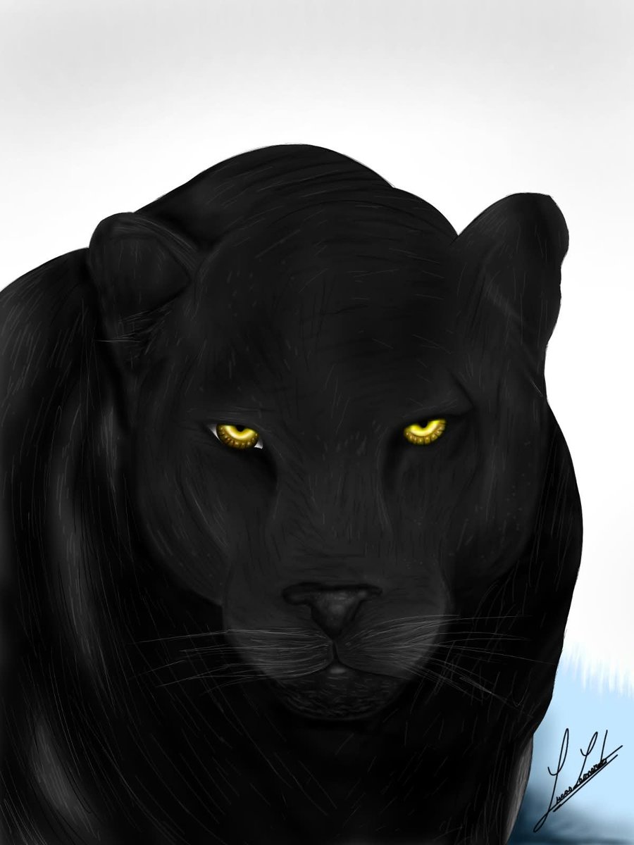 ZamatsuUltra's tweet photo. Desenho novo Pantera
#desenhos #pantera #arte #ilustração #desenhoanimado #quadrinhos #desenhar #artedigital #panteranegra #fandom #culturapop #heróis #desenhoinfantil #artista #inspiração #criatividade #fanart https://t.co/xHz4NqWgyN