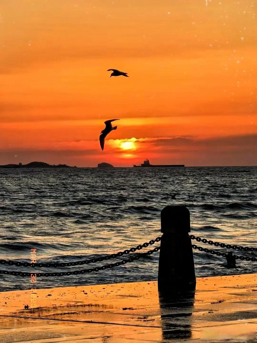 BrooklynJobr's tweet photo. Volví de un viaje a la playa con el viento en el pelo y el sol en el corazón, cada ola trajo un recuerdo nuevo!， https://t.co/QkmXNylirv
