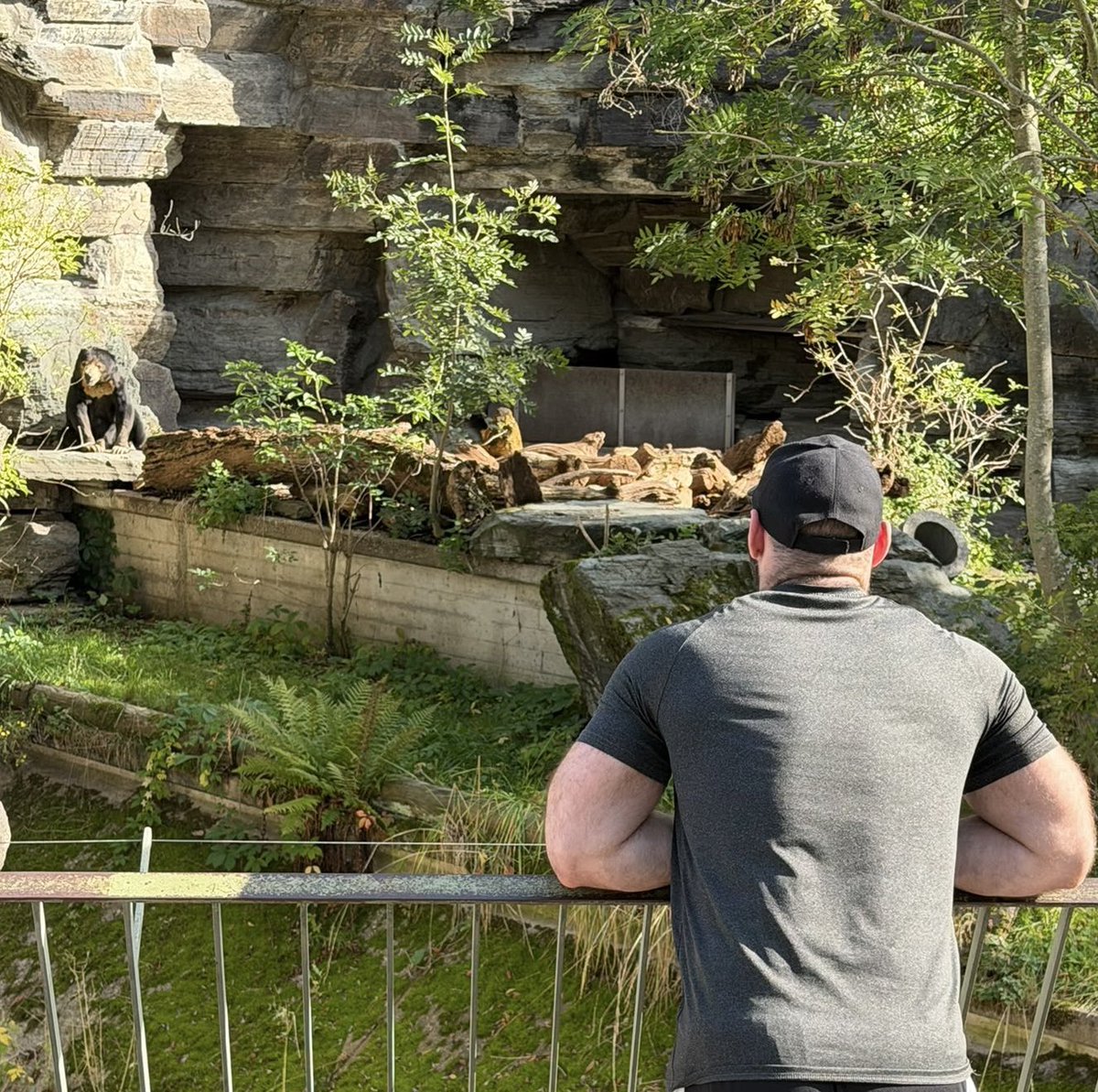 kinksbear's tweet photo. Bear meeting https://t.co/rLWEHwsrC3