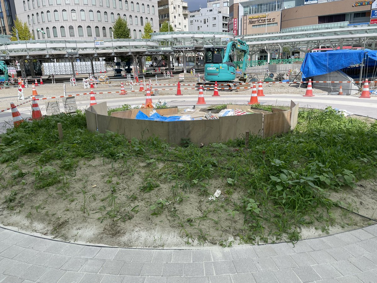 Ojmzic's tweet photo. 新潟駅の広場
草木を植える事で、なんの意味があるのか？
「空きスペースがあるから草木で埋めてみた」だけではないか？
維持費がかかる。
鳥が糞を落とす。
デメリットばかり。

草木がなくてさっぱり殺風景の方が、大きな何を設置する催しを行ったり、活用方法が広がる。 https://t.co/p5jmpAKvPS