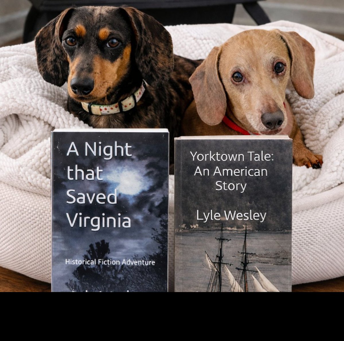 Beachguy1952's tweet photo. @Griffin4VA Governor Thomas Jefferson was nearly captured at his Monticello home by the British - just 4 months before the Battle of Yorktown.  Had that occured, would the Americans have prevailed? 
Historical Fiction Comes to life!
Available on Amazon👇
            https://t.co/wqykSaTQlK https://t.co/YtOzekNY7n