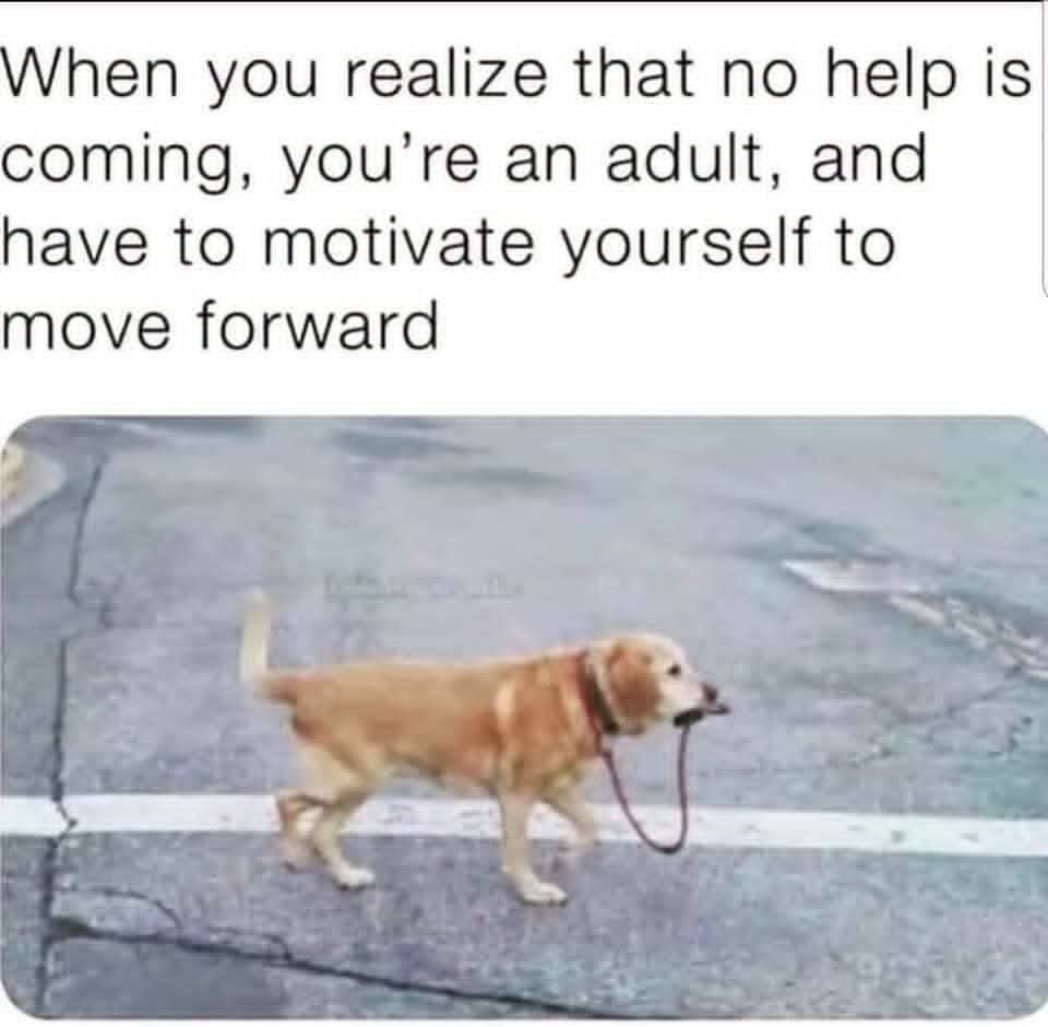 HelpATeacher's tweet photo. Accurate. https://t.co/i2DFXcncfO