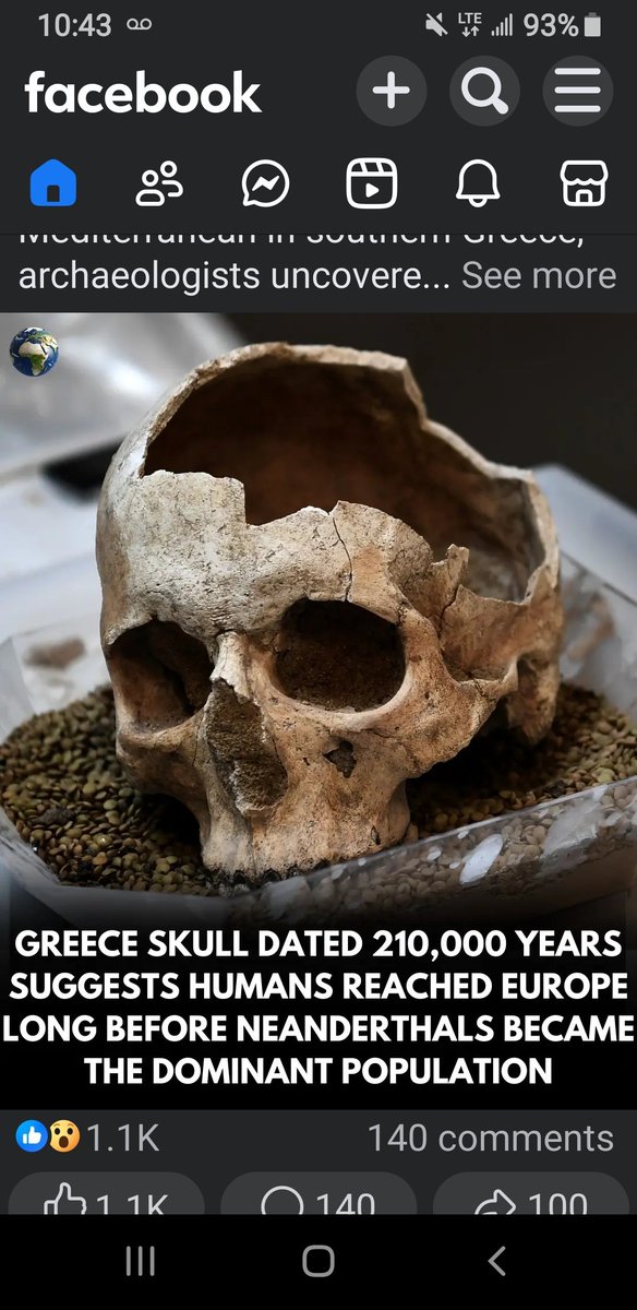 WhitelightDee's tweet photo. Whites never came from apes or neanderthals like others https://t.co/KG171OqExu