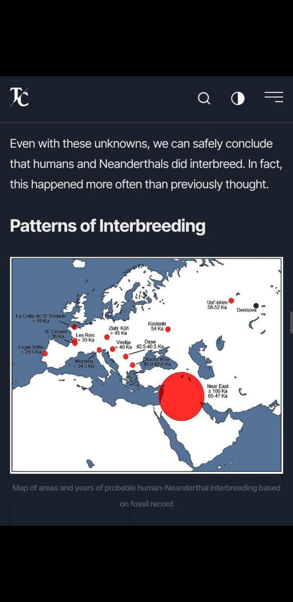 WhitelightDee's tweet photo. Whites never came from apes or neanderthals like others https://t.co/KG171OqExu
