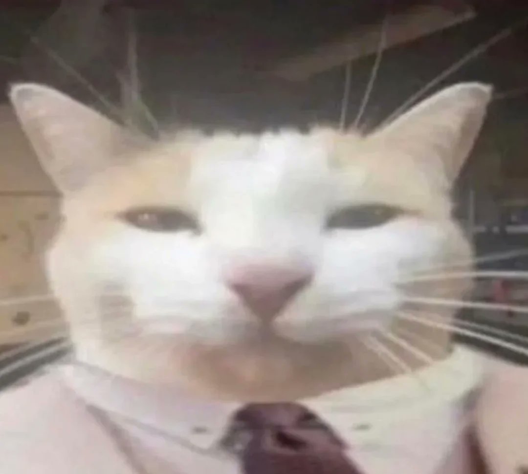 francois__bacon's tweet photo. @CatIsMyQuant 

The cat is my quant.

Hold the cat and the trades pay you in $QNT. 

Qcat already sent 7.28 QNT out to holders.

ZEC has a cat. 
HYPE has a cat. 
NEAR has a Kat. 
QNT is #33 and its cat is two days old. 

CA:8BDK38na8kAQBS6tfCtJ8EghX7bMnDYfEf2PWUeiL86u https://t.co/Rf3wKC3mru