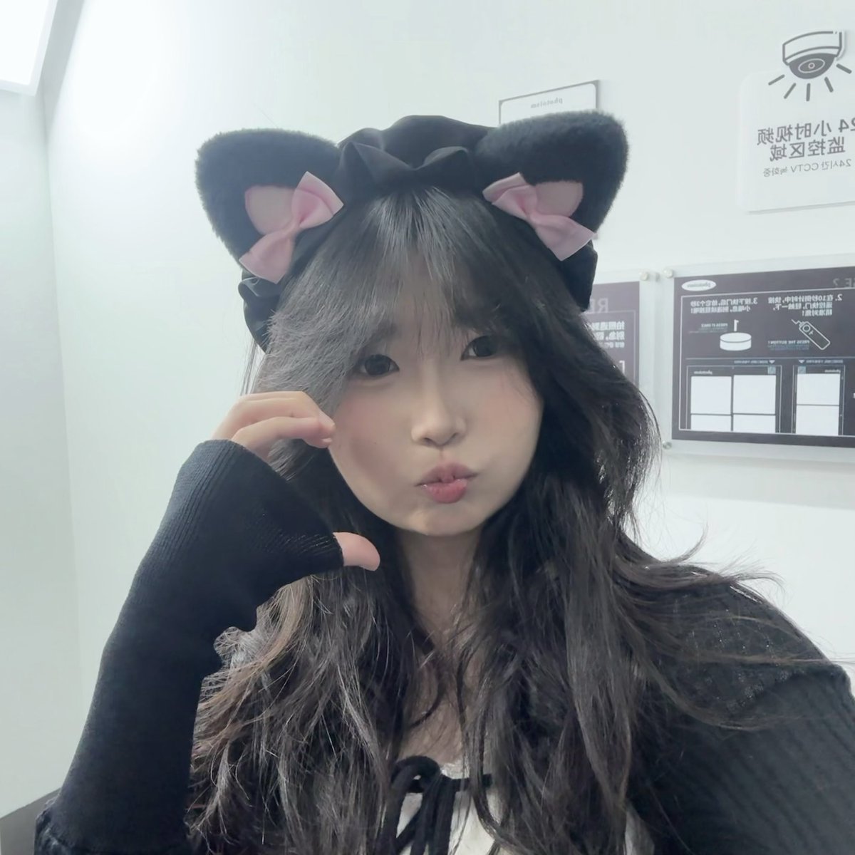 ai_micch7's tweet photo. https://t.co/Gf9A5zu1or