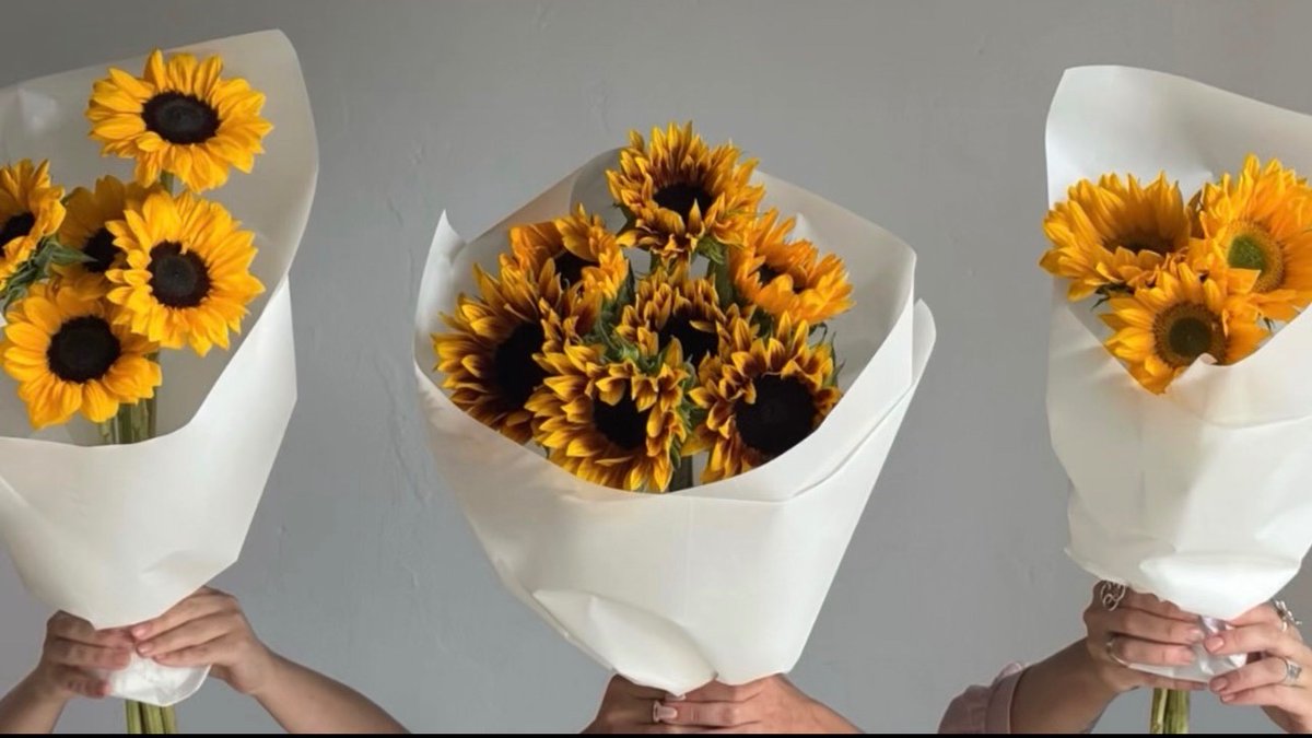 sunflowerchives's tweet photo. Sunflowers🌻 https://t.co/ljF6Dwrwoq
