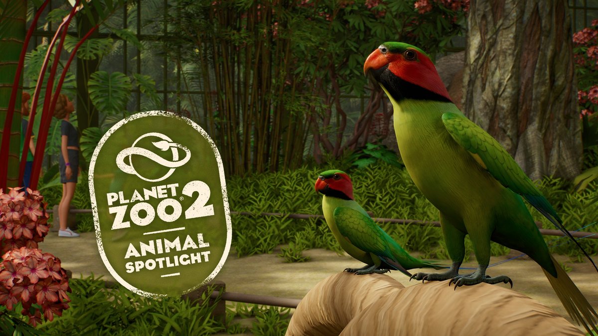 A promotional image for "Planet Zoo 2" features a circular badge reading "PLANET ZOO 2 ANIMAL SPOTLIGHT" alongside two vibrant green long-tailed parakeets with red faces perched on a rock, set in a lush jungle enclosure with zoo visitors in the background, announcing the species' arrival on October 13.