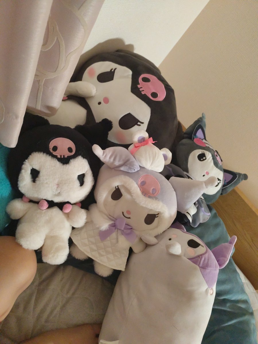 s_I_rr's tweet photo. クロミに囲まれて寝る毎日🤍 https://t.co/0HJ8xVAfNz